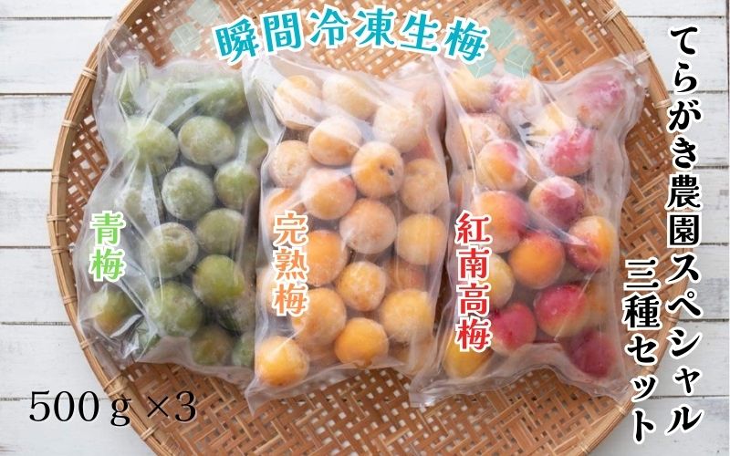 てらがき農園スペシャル　三種セット（冷凍）　trgk005A