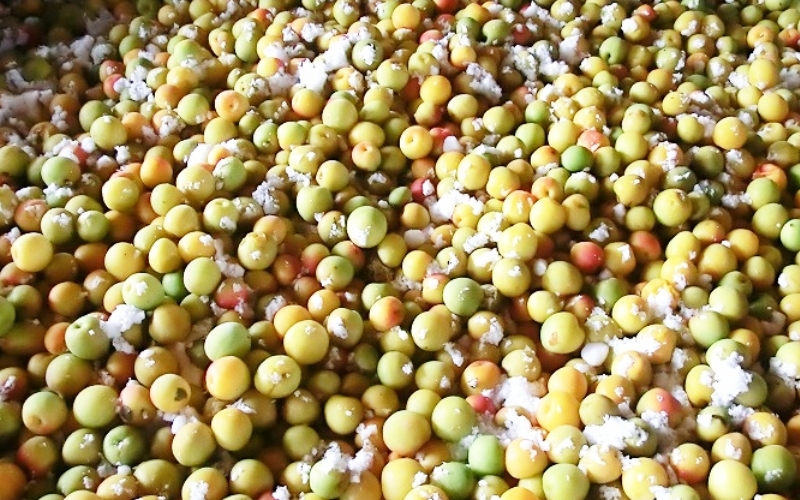 æ¢
å¹²ããå¯ä¹å©ã®ããæŒ¬ãå°æ¢
ã700g / ã¿ãªã¹çº æ¢
å¹²ã æ¢
å¹² çŽ«èæ¢
å¹²ã ããæ¢
å¹²ã å°æ¢
å®ç ãããŒã çŽå·å髿¢
å髿¢
å¡©åçŽ13ïŒ
æãªãã ãªã€ããã èŽç èŽãç© ã®ãã ãã¬ãŒã³ã é²ç© ãåŒåœ ãã«ãããsskn006ã