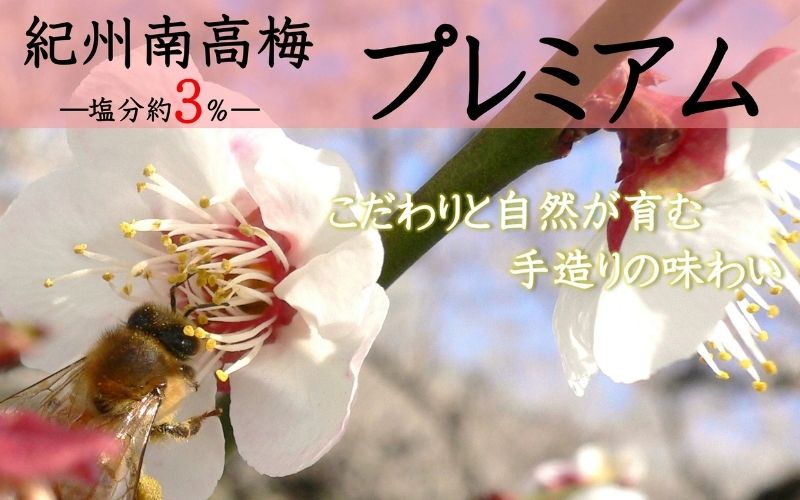 紀州南高梅 プレミアム 塩分約3％ 500g 　 yamada010A