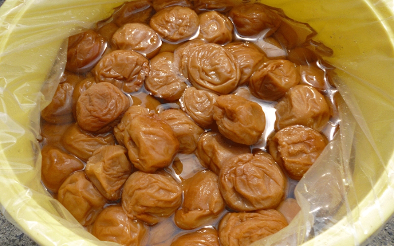 【塩分約8％】和歌山紀州南高梅 つぶれ梅 はちみつ漬け 訳あり 800g agrjpn002A