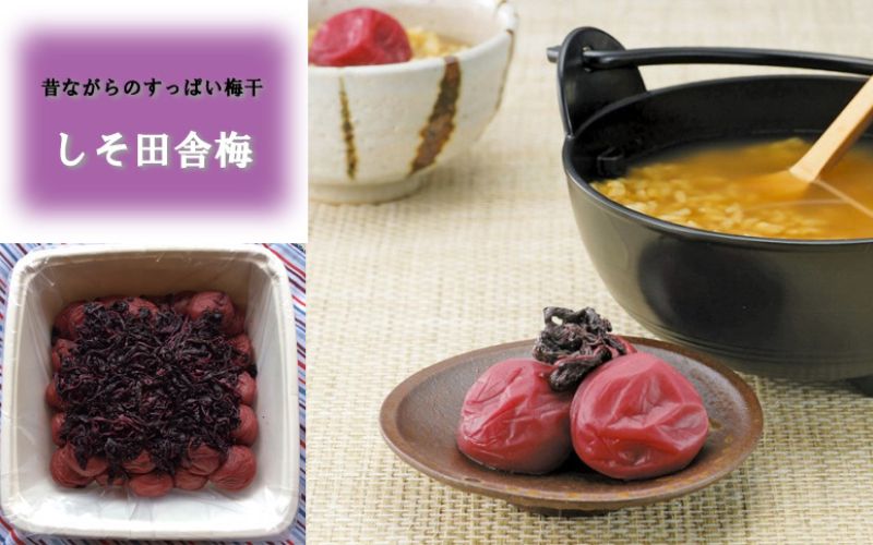 紀州南高梅　しそ田舎梅 kishusogo001A