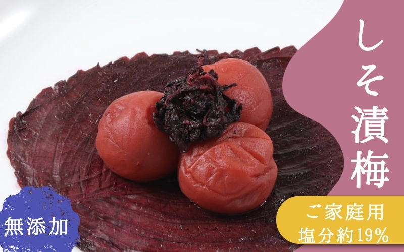 ご家庭用梅干し　無添加しそ漬け梅　1kg(500g×2) / みなべ町 梅干 うめぼし ウメ しそ梅 紫蘇漬け梅 家庭用 紀州南高梅 南高梅 簡易包装 お弁当 おにぎり【mrt016A】【mrt016A】