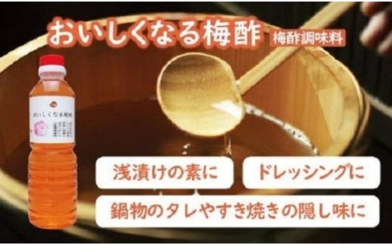 梅満喫セット 特選A級 紀州南高梅 味わい4種800g 千年の知恵 梅干し 梅札 和歌山県産 hoso015A