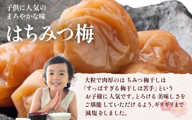 紀州南高梅 白干し500g /塩分：約18％ 【jke001】