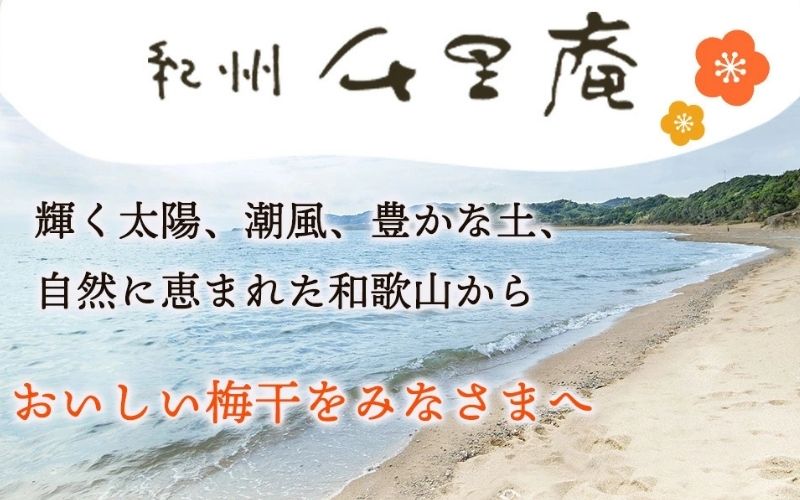 梅の精　720ml×6本 濃縮タイプ　umyssho003A