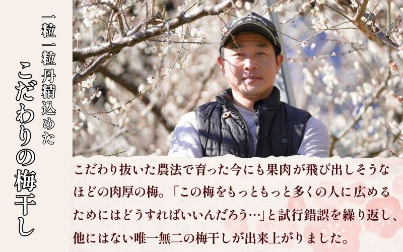 紀州南高梅 白干し500g /塩分：約18％ 【jke001】