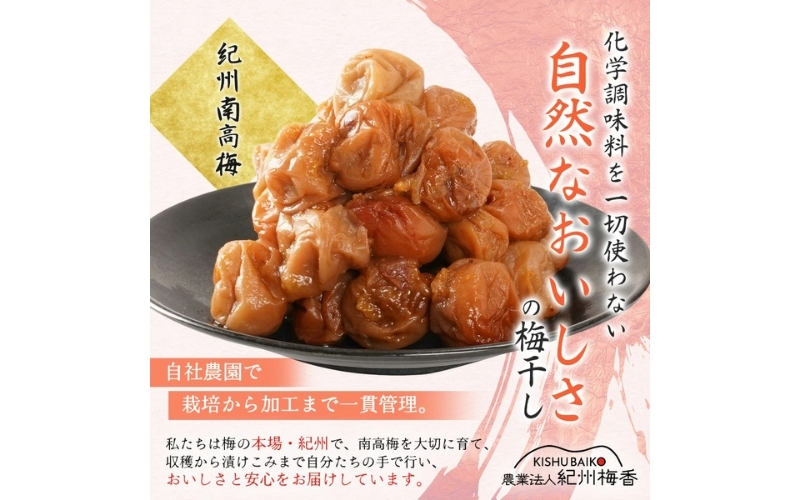 梅干し 無添加 訳あり はちみつ梅干1kg（500×2） 紀州梅香 / ワケあり つぶれ つぶれ梅 梅干し うめぼし【baiko001A】
