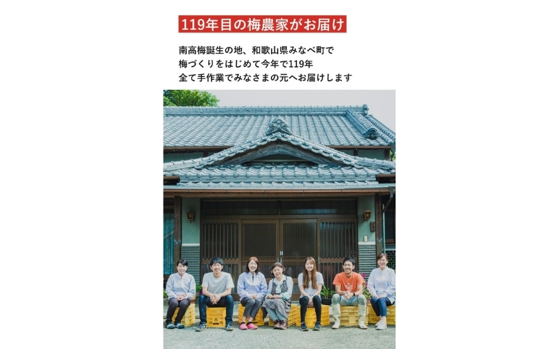 【最大３ヶ月待ち】【無添加梅干し】天日塩と紫蘇だけで漬けた梅干し | 梅干し 無添加 南高梅 梅ボーイズ うめひかり 天然塩 紫蘇 しそ ご飯のお供【umehkr002A】