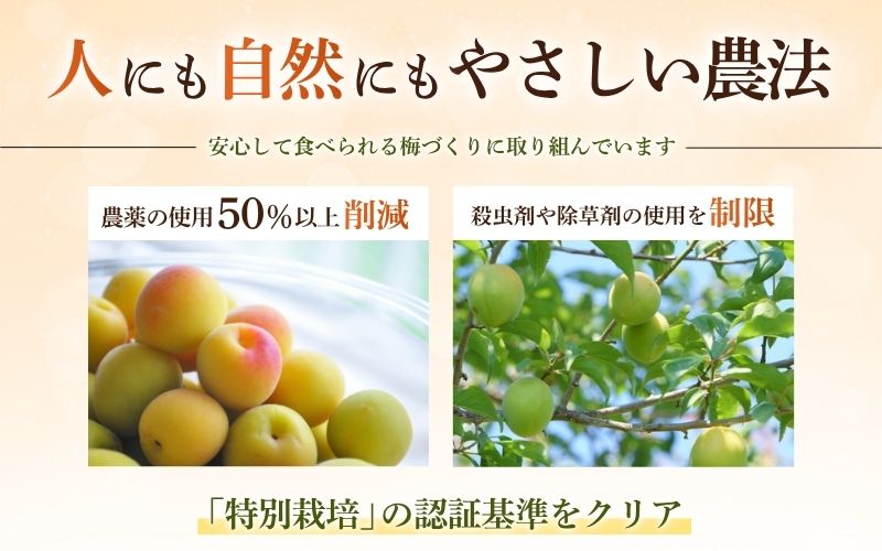 無添加梅干し ひょう被害エール規格外はちみつ梅干し 1kg（500gパックx2個）塩分6% 甘酸っぱい 蜂蜜漬け 6-HYO ［KU12］【baiko016】