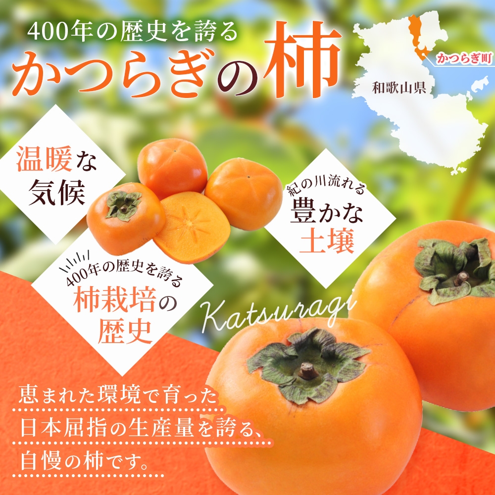 富有柿　赤秀品大玉6個〜8個入　こだわり農家【2026年10月末頃から12月末頃順次発送】 【BK-kgr043】
