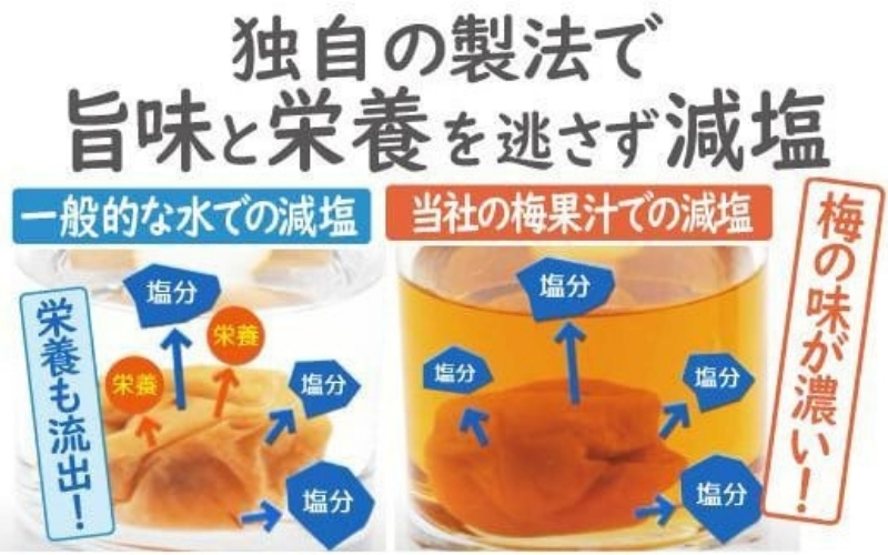 特選A級 紀州南高梅 うす塩味800g 千年の知恵 梅干し ブランド梅 和歌山県産 【hoso007A】