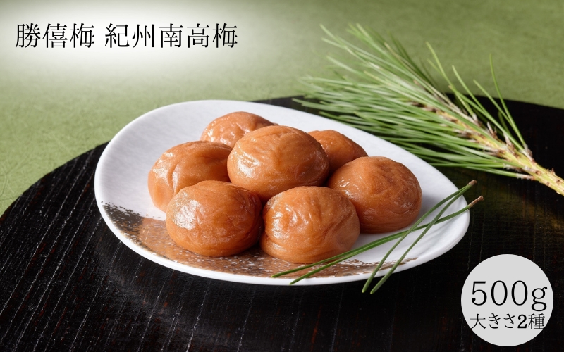 紀州南高梅　はちみつ仕立て1kg（500g×大きさ2種）　shokibai003A