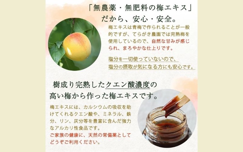 完熟梅エキス 50g 南高梅使用 trgk002A