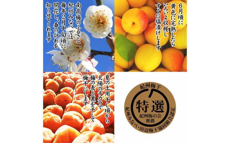 çŽå·ç£å髿¢
ãªã¡ã
ã ããæŒ¬ 300g å¡©å9ïŒ
tnht003A