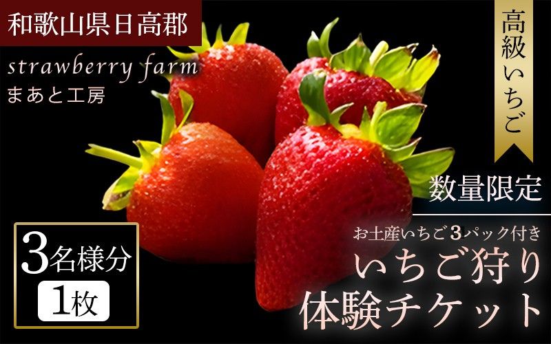 【体験】 【開催期間 2027年1月1日～5月7日】 オリジナルいちごと人気ブランドいちごの食べ比べ いちご狩り体験チケット ( 3名様分) ＋お土産いちご3パック付き【maato008】