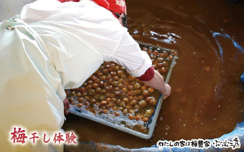 カフェドマンマ食事券1500円分＆梅干し作業体験チケット  iwasho008A