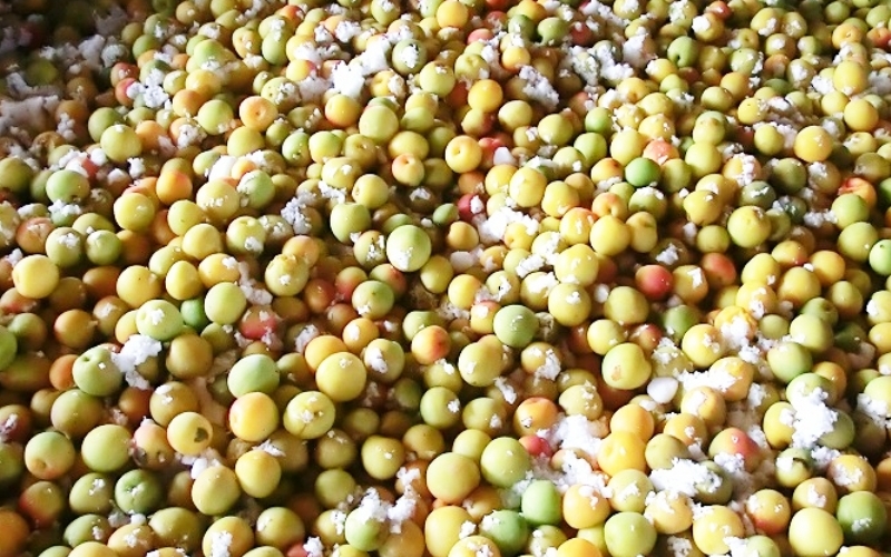 梅干し　富之助の白干し小梅　800g / みなべ町 梅干し 梅干 白干梅 白梅 完熟 小梅 小さい うめぼし 紀州南高梅 南高梅 昔ながら しょっぱい 懐かしい 塩分約19％ 贈答 贈り物 ギフト プレゼント 進物 お弁当 おにぎり ご飯のお供【sskn002】