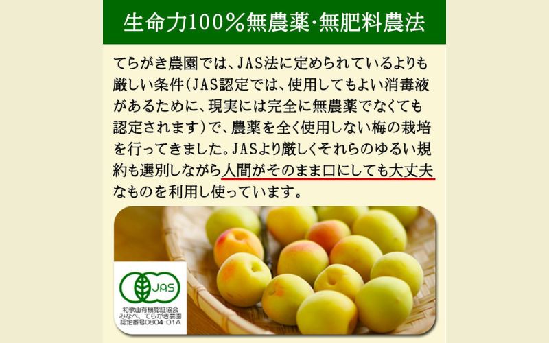 梅の黒焼き 30g 南高梅使用 trgk004A