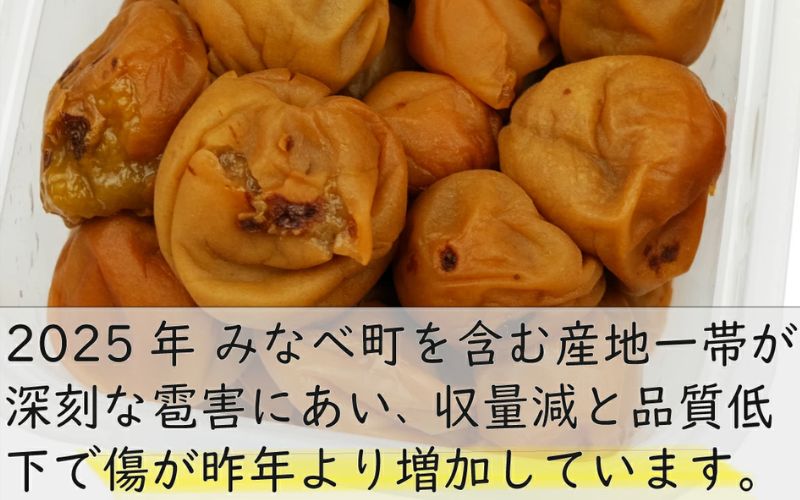 訳あり 無添加 梅干し 紀州梅香の減塩3%つぶれ梅 約1kg(500g x 2) 中~大粒 はねだし梅 紀州南高梅 産直) 3-G［KU3］【baiko002A】