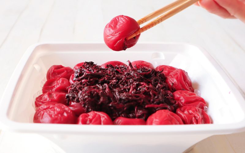 紀州南高梅　しそ田舎梅 kishusogo001A