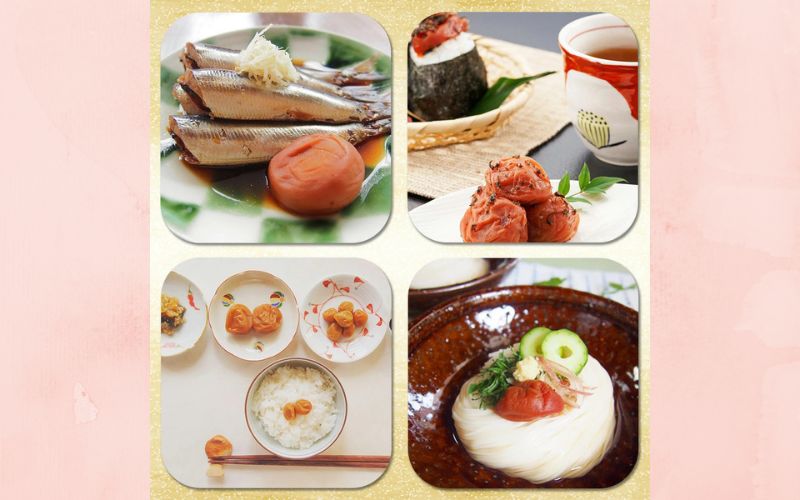 こんぶ梅（紀州南高梅）塩分8%／550ｇ　　【kishusogo011】