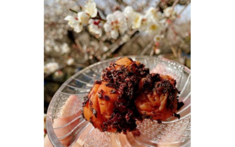 【毎日食べたくなる味】愛ちゃんのかつお梅 600g aisu004A