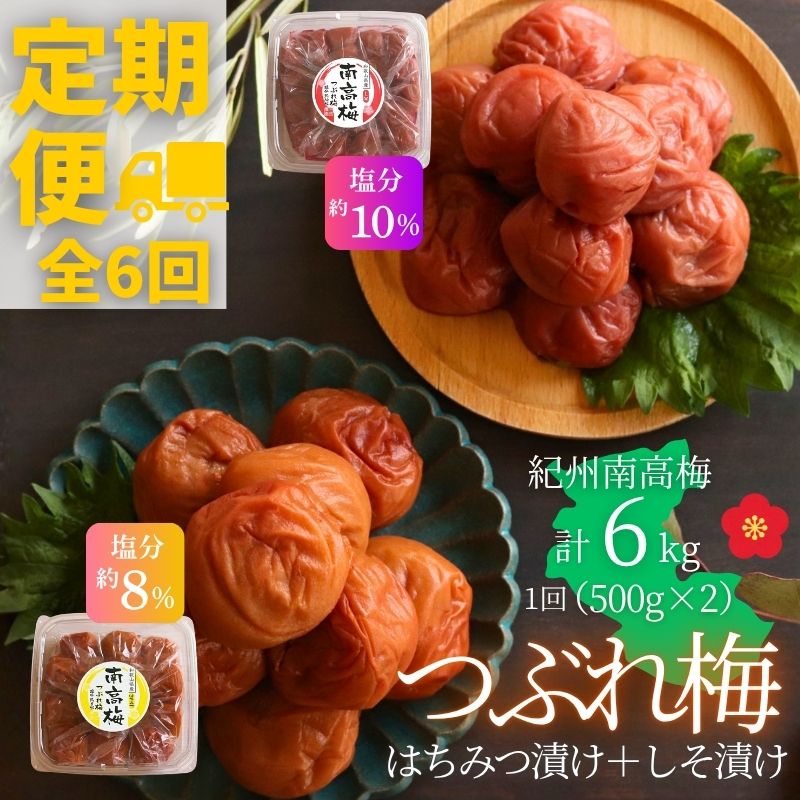 【定期便全6回】 【塩分 はちみつ約8％ しそ漬け約10％】和歌山県紀州南高梅 つぶれ はちみつ漬け＆しそ漬け 訳あり 500g×2｜甘口・爽やか梅干 梅 うめ 減塩　【agrjpn-tkb002】