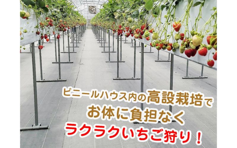 ãäœéšããã¡ãç©ãäœéšãã¡ããªãŒãã±ãã ãmaato003Aã