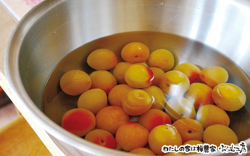 梅ジャムづくり体験ペアチケット iwasho010A