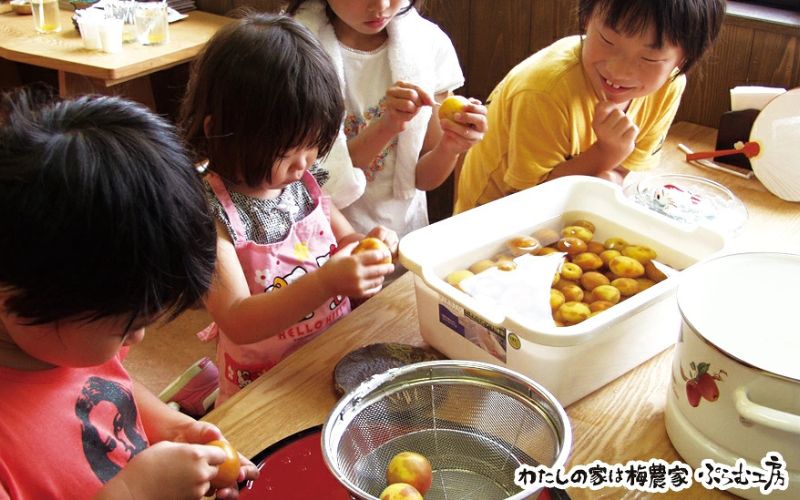 梅ジャムづくり体験ペアチケット iwasho010A