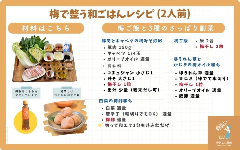 【塩分 18％】和歌山県 紀州南高梅 野菜ソムリエが作る藻塩仕込み こだわりの梅干し 6個入り　【kkbc001】