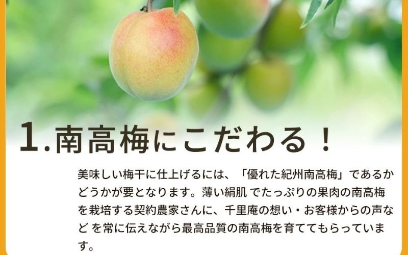 梅の精　720ml×6本 濃縮タイプ　umyssho003A