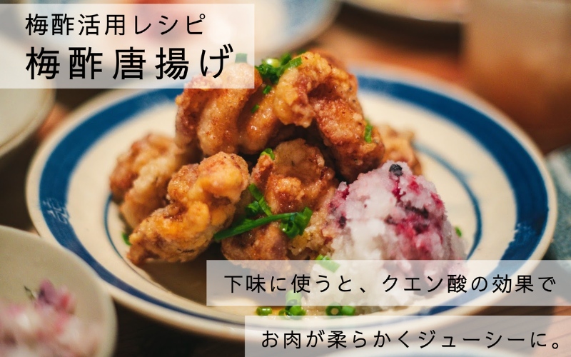 【梅ボーイズ】無添加 紀州南高梅の梅酢 500ml×2本/ 梅チューブセット（塩・紫蘇）140g×2本 天日塩使用 umehkr025