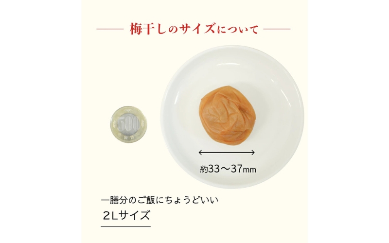 ãæå€§ïŒã¶æåŸ
ã¡ããç¡æ·»å æ¢
å¹²ãã倩æ¥å¡©ã ãã§æŒ¬ããæ¢
å¹²ã1kgÃ2ããã¯/ å髿¢
æ¢
ããŒã€ãº ããã²ãããumehkr006Aã