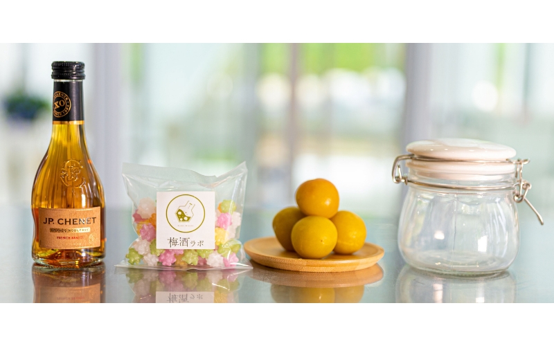 梅酒作成ミニキット（ブランデーベース）umslabo005A