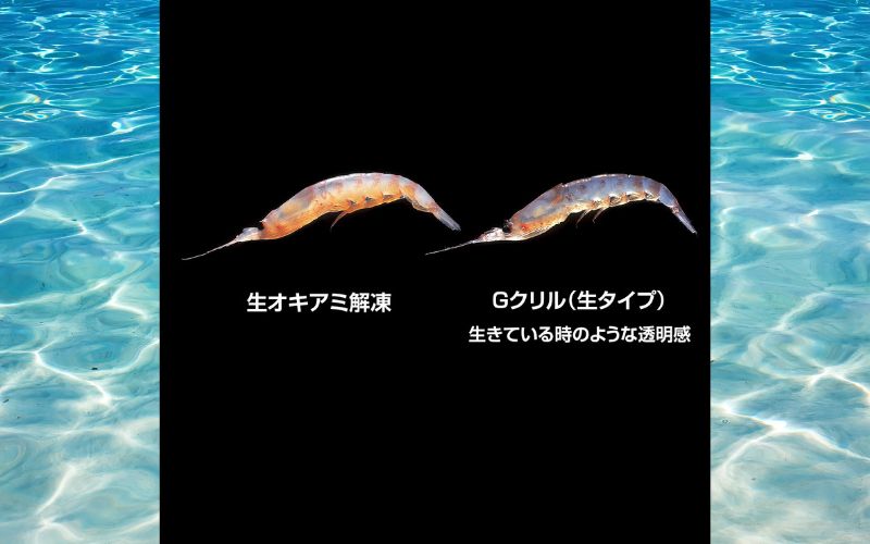 é£ããšãµãGã¯ãªã«Wããã¯ãLLãµã€ãºãçŽ100gïŒçŽ50gÃ2ããã¯ïŒÃ6åããhmi010ã