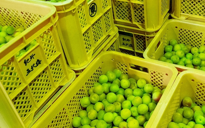 原酒梅酒 720ml 1本　azmn001A