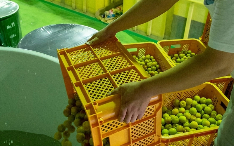 にごり梅酒　720ml　azmn002A