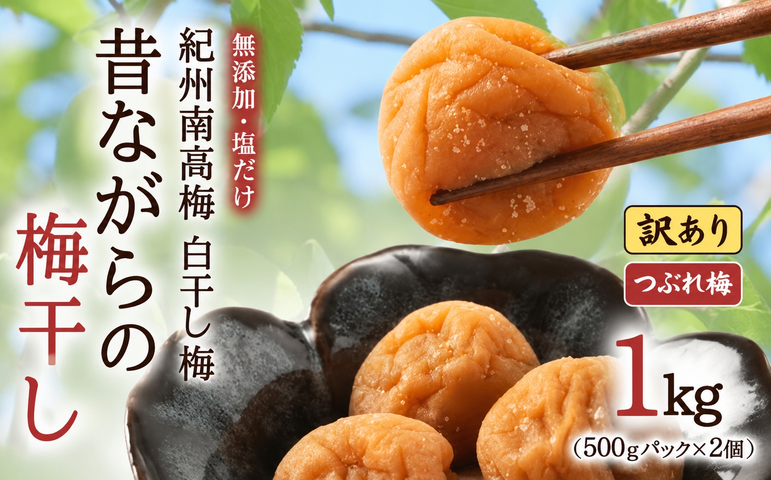 無添加 塩だけ 昔ながらの梅干し 南高梅 紀州梅香 完熟 白干し梅 訳あり つぶれ梅1kg（500gパック×2個）塩分20% 20-G baiko010