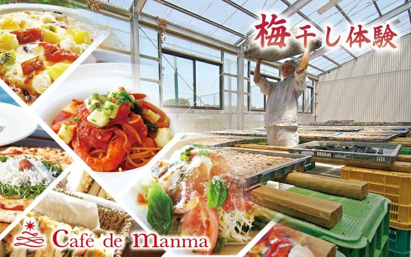 カフェドマンマ食事券1500円分＆梅干し作業体験チケット  iwasho008A