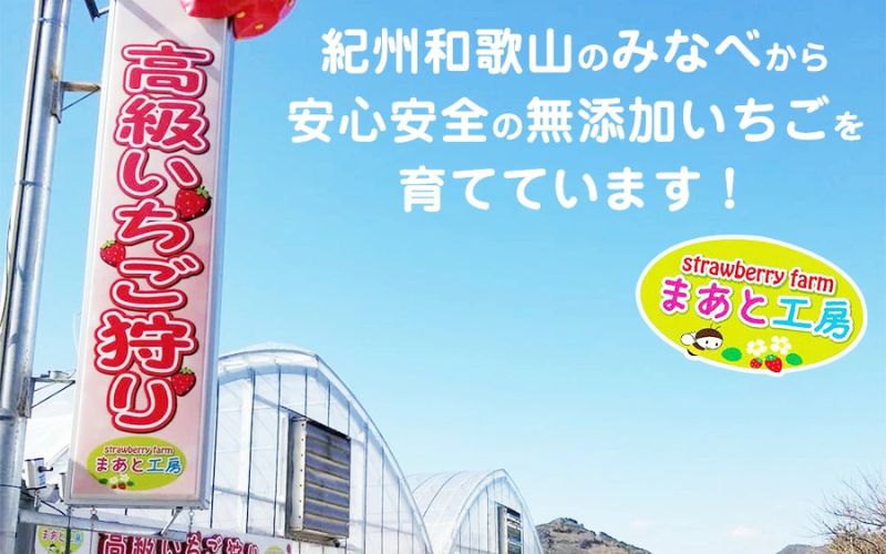 【体験】いちご狩り体験チケット ( 2名様分) ペアチケット 【maato002B】