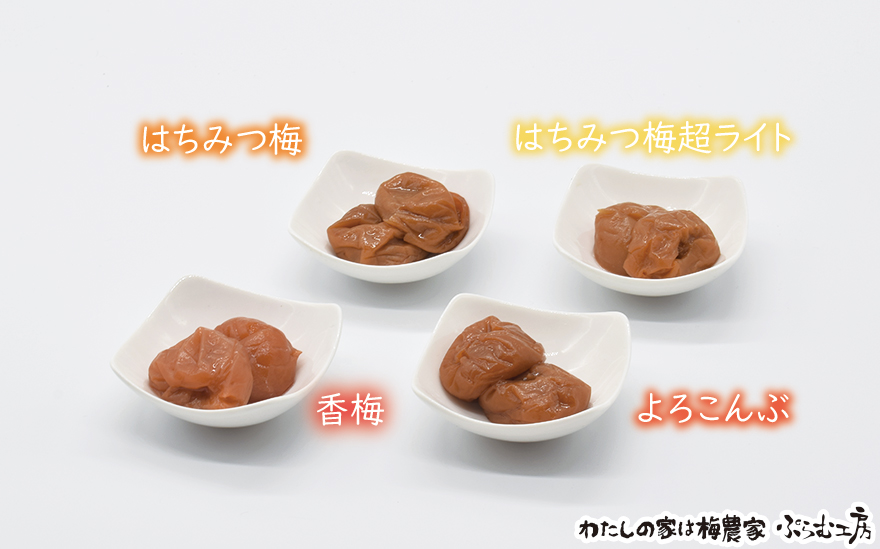 オリジナルおにぎり梅製作体験ペアチケット iwasho009A