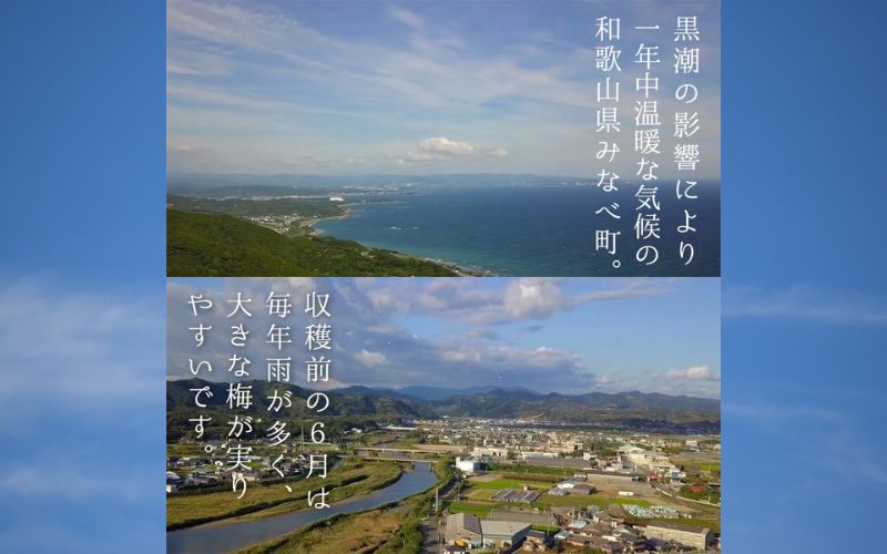 荳雁埋螯よーエ譴驟 720ml 縲辛jumys029縲