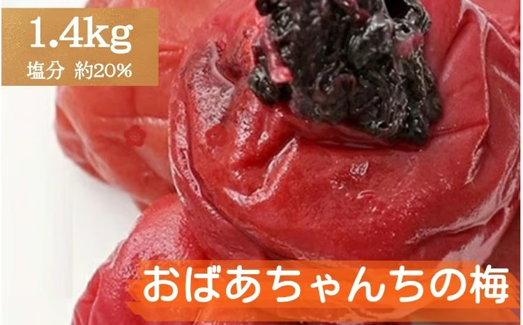 [家庭用]紀州みなべのおばあちゃん家の梅 塩分約20%[baijuen011B]