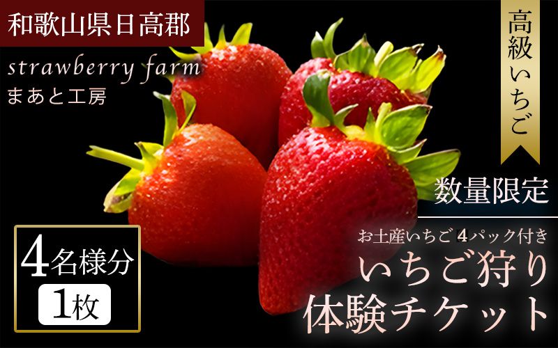 【体験】 【開催期間 2027年1月1日～5月7日】 オリジナルいちごと人気ブランドいちごの食べ比べ いちご狩り体験チケット ( 4名様分) ＋お土産いちご4パック付き【maato009】