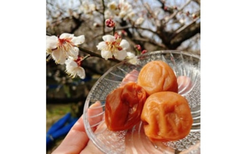 【本気の酸っぱい梅干】愛ちゃんの紀州梅 600g aisu001A