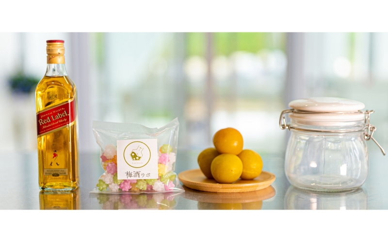 梅酒作成ミニキット（ウイスキーベース）umslabo001A