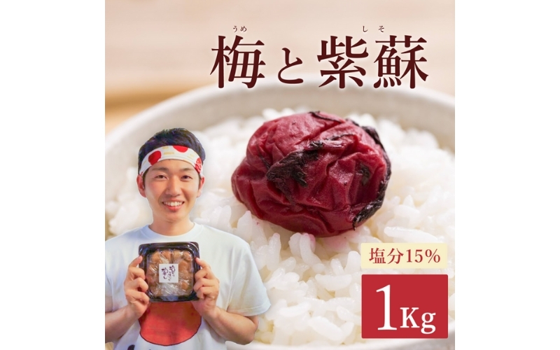 【最大３ヶ月待ち】【無添加梅干し】天日塩と紫蘇だけで漬けた梅干し | 梅干し 無添加 南高梅 梅ボーイズ うめひかり 天然塩 紫蘇 しそ ご飯のお供【umehkr002A】