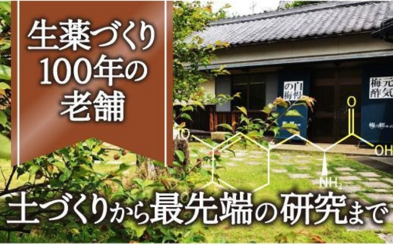 八升豆[国産ムクナ豆]粉末 300g×１袋【老舗生薬屋の八升豆】 【hoso013A】