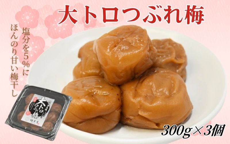 紀州南高梅 大トロつぶれ梅 300g×3個／塩分5％　 mryms003【mryms003】